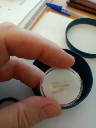 Seiko agujas estilo Rolex color oro