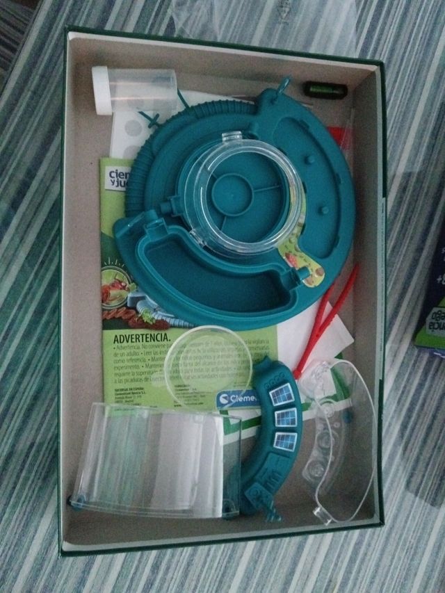 El mundo de las hormigas