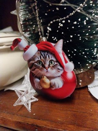 Set2 Gattini da appendere auto o feste