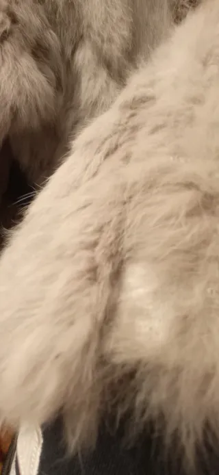 Chaqueton piel conejo Talla