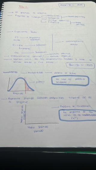 Clases particulares ESO y Bachillerato 