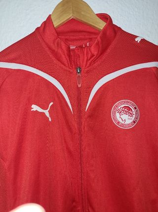 Chandal Puma