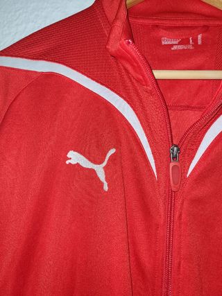 Chandal Puma