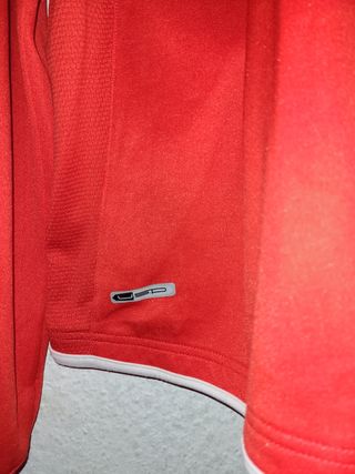 Chandal Puma