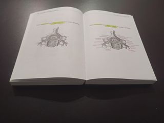 Sobotta. Anatomía. Histologia. Embriologia 