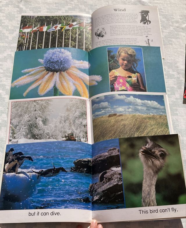 Colección 20 libros Science Emergent Readers Schol