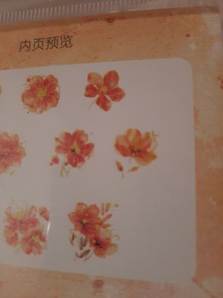 Pack 20 stickers flores, reflexos ouro