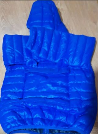 Vendo kispo de 36 meses,NOVO