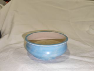 Macetas de autor para bonsai