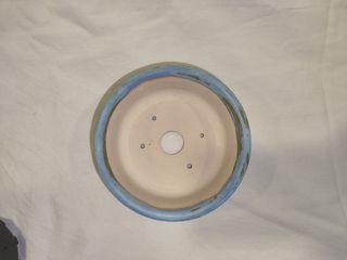 Macetas de autor para bonsai