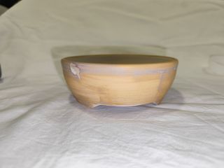 Macetas de autor para bonsai