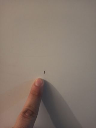 Mesa dibujo técnico