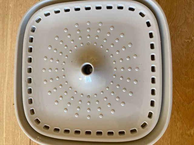 Animali della fontana d'acqua