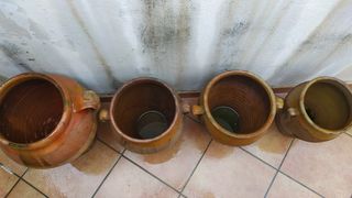 Orzas antiguas 