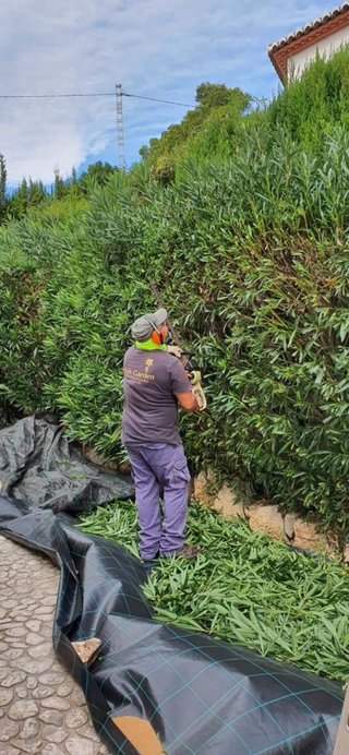 Jardinero económico