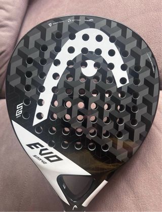 Pala Head Sanyo EVO