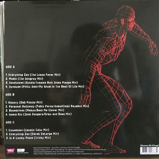 BUSH 2LP Vinilo 180g Deconstructed Music On Vinyl