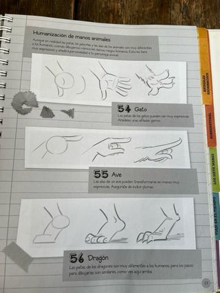 501 consejos para tus primeros dibujos