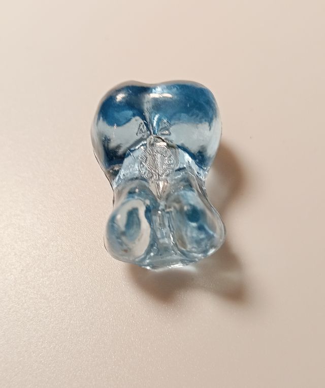 Gogo #42 transparente + pegatina (serie Buddies)