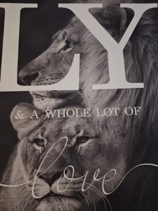 Conjunto 3 cuadros leones