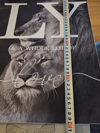 Conjunto 3 cuadros leones