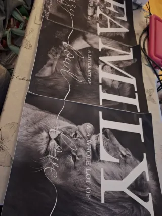 Conjunto 3 cuadros leones