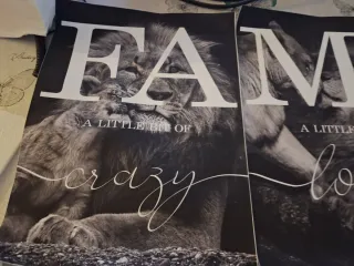 Conjunto 3 cuadros leones