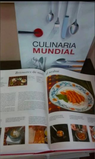 Libro recetas mundiales