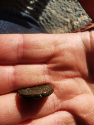 Moneda bronce emperador Trajano