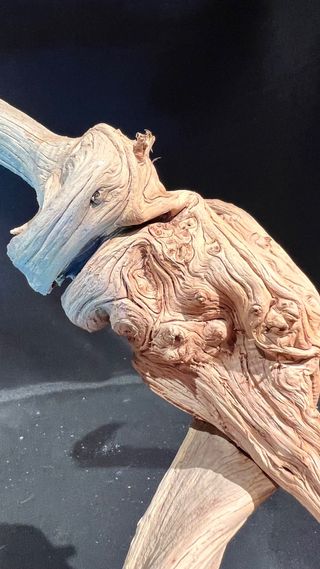 MADERA SABINA BONSAI ACUARIO TANUKI TERRARIO