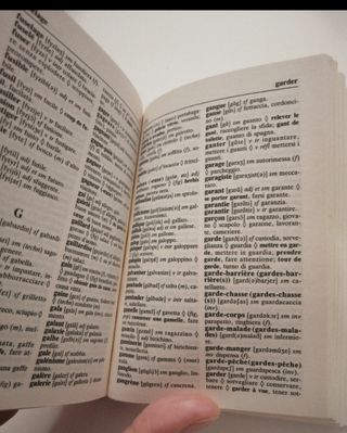 Dizionario tascabile francese