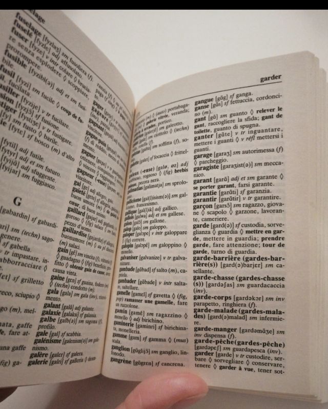 Dizionario tascabile francese