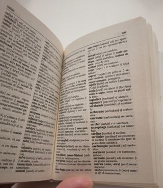 Dizionario tascabile francese