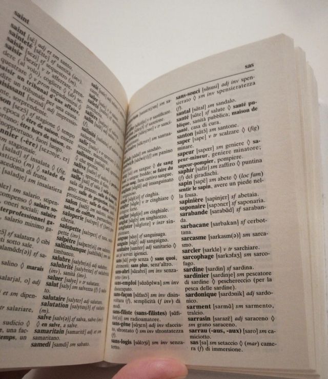 Dizionario tascabile francese