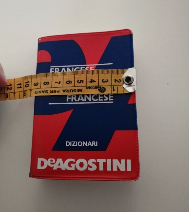 Dizionario tascabile francese