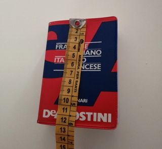 Dizionario tascabile francese