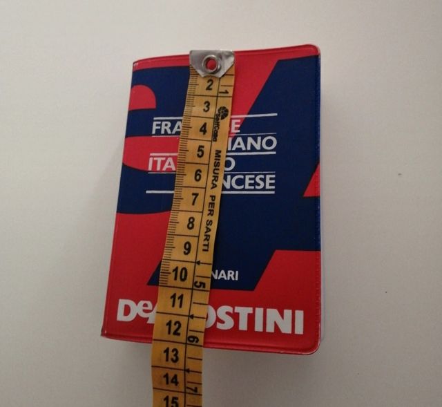 Dizionario tascabile francese