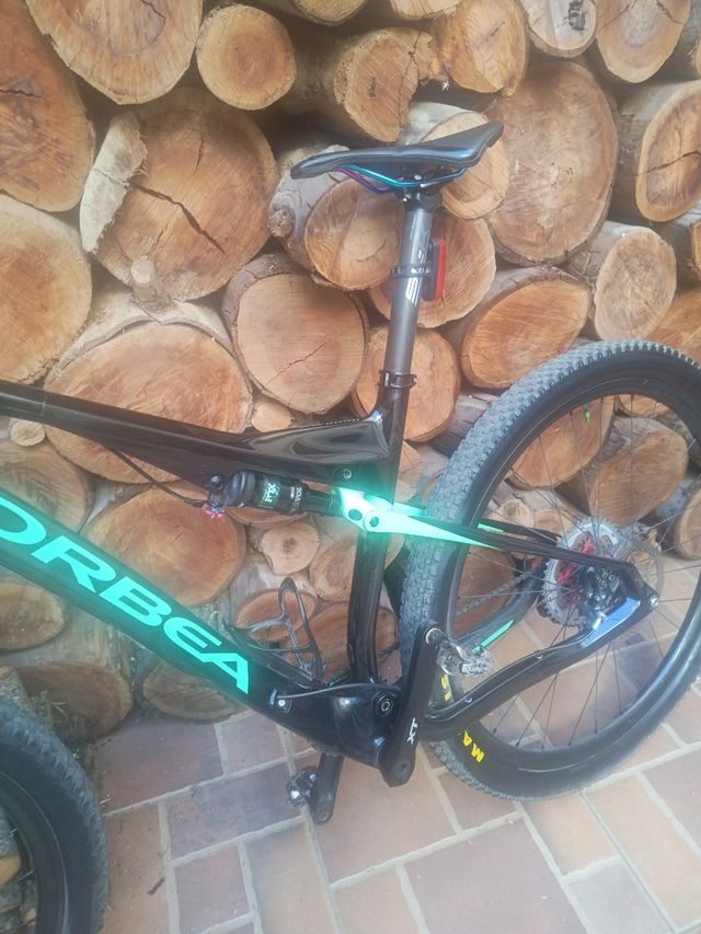 Colección DVD abeja maya 