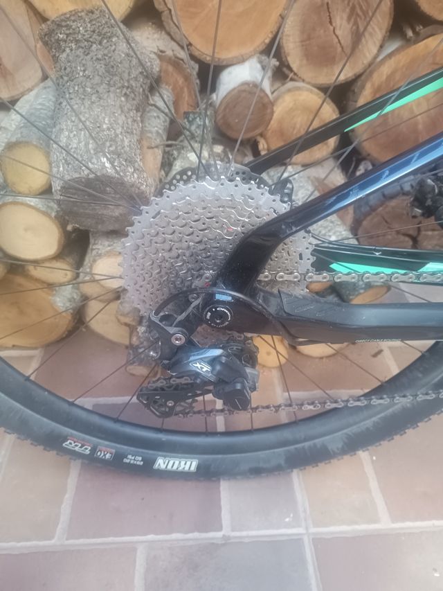 Colección DVD abeja maya 