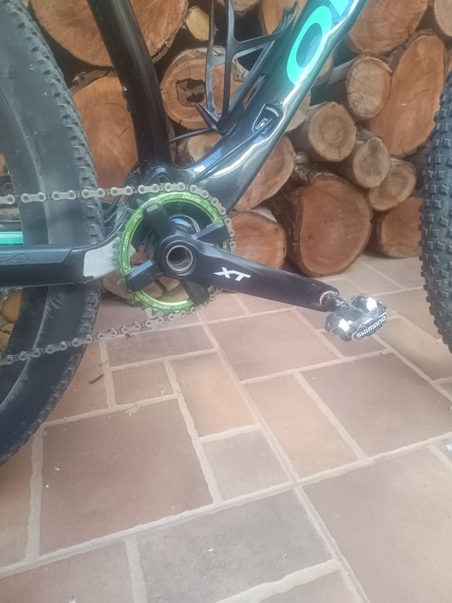 Colección DVD abeja maya 