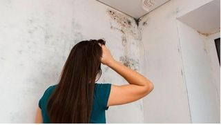 Perito de obras y reformas