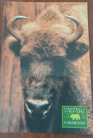Postales de Cabárceno