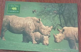 Postales de Cabárceno