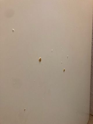 Mesa despacho blanca 120,5x75cm