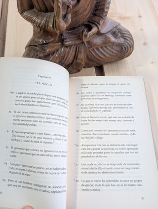 Dhammapada: la enseñanza de Buda