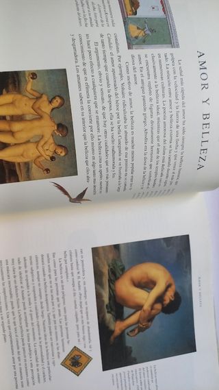 El lenguaje secreto del amor / Megan Tresidder ; con ilustraciones de Emma Turpin