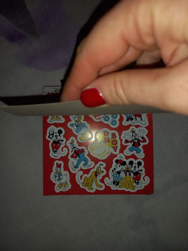 Set para colorear Disney