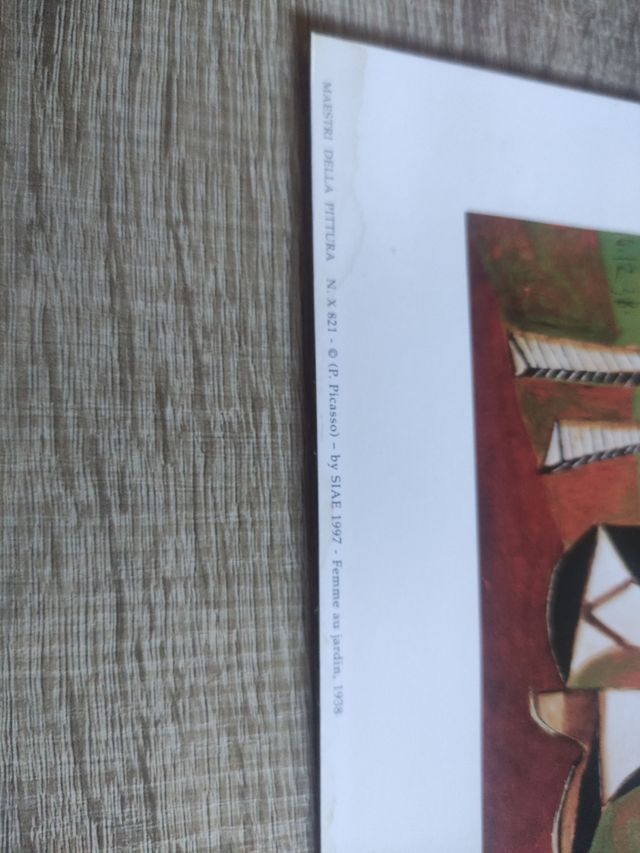 Imagen Picasso mujer en el jardin