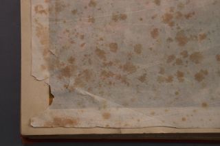 Don Pelegrín Casabó y- 1882 La Civilización Tomo 3