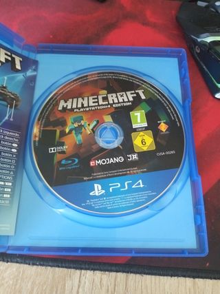 Minecraft Play 4